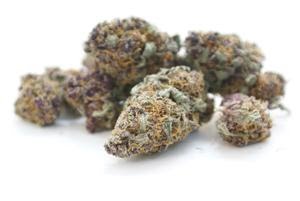 Strain Reviewers Wanted! by Local Product CO