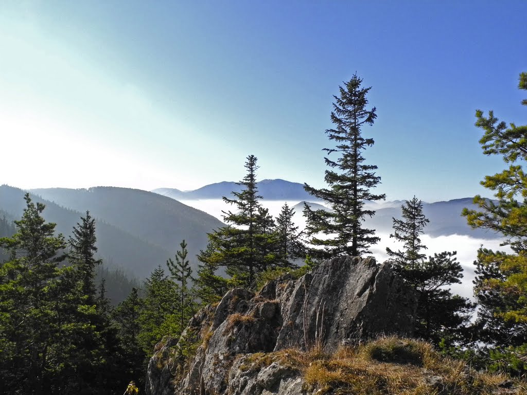 Hohe Wand Kleine Kanzel by Werner Röder