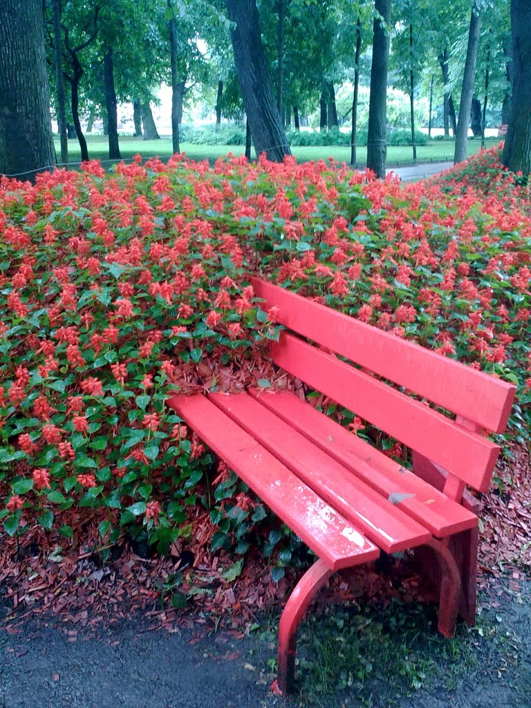 French landscape design in Michailovski garden by la_parisien