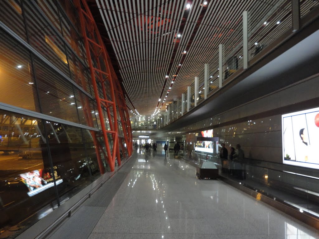 Beijing Capital airport by gorgorgorian