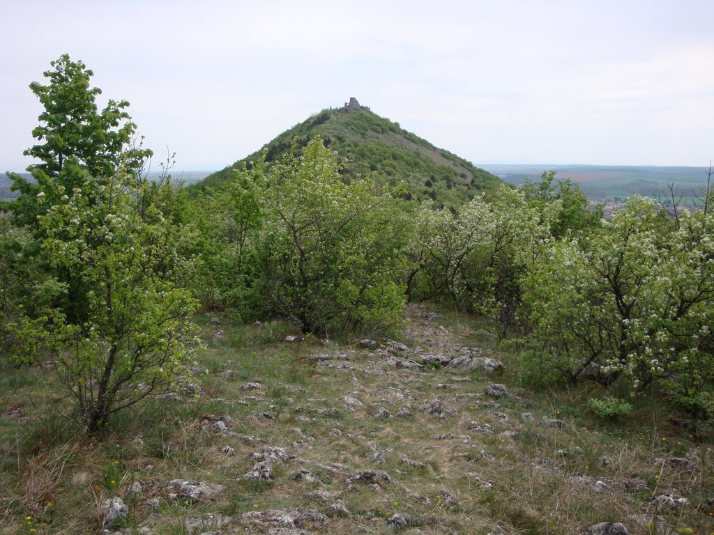 Turniansky hrad by Zdenulik J