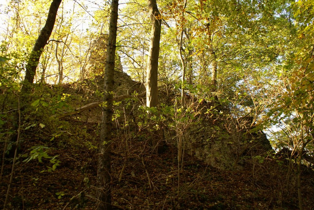 Burg Alte Gleichen (Landkreis Göttingen) by Altmeister