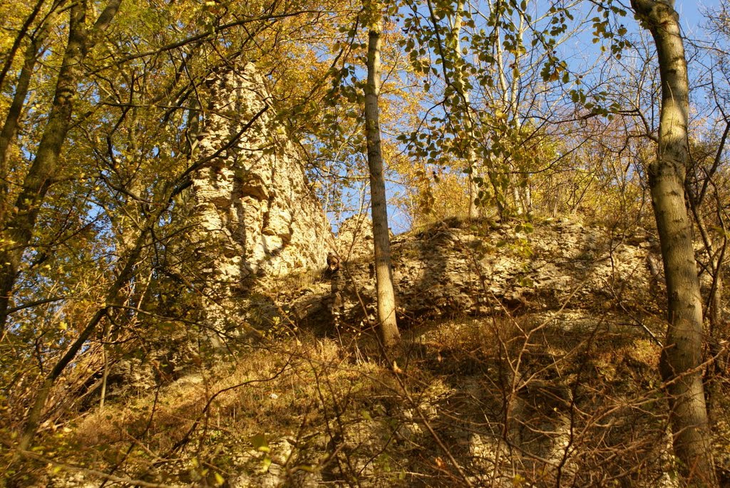 Burg Alte Gleichen (Landkreis Göttingen) by Altmeister