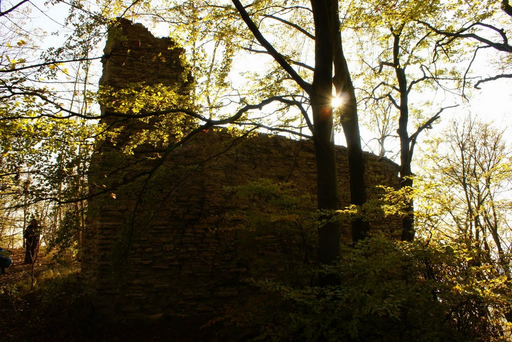 Burg Alte Gleichen (Landkreis Göttingen) by Altmeister