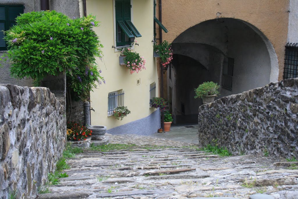 Varese Ligure (SP), Discesa dal ponte by Renzo Garabini