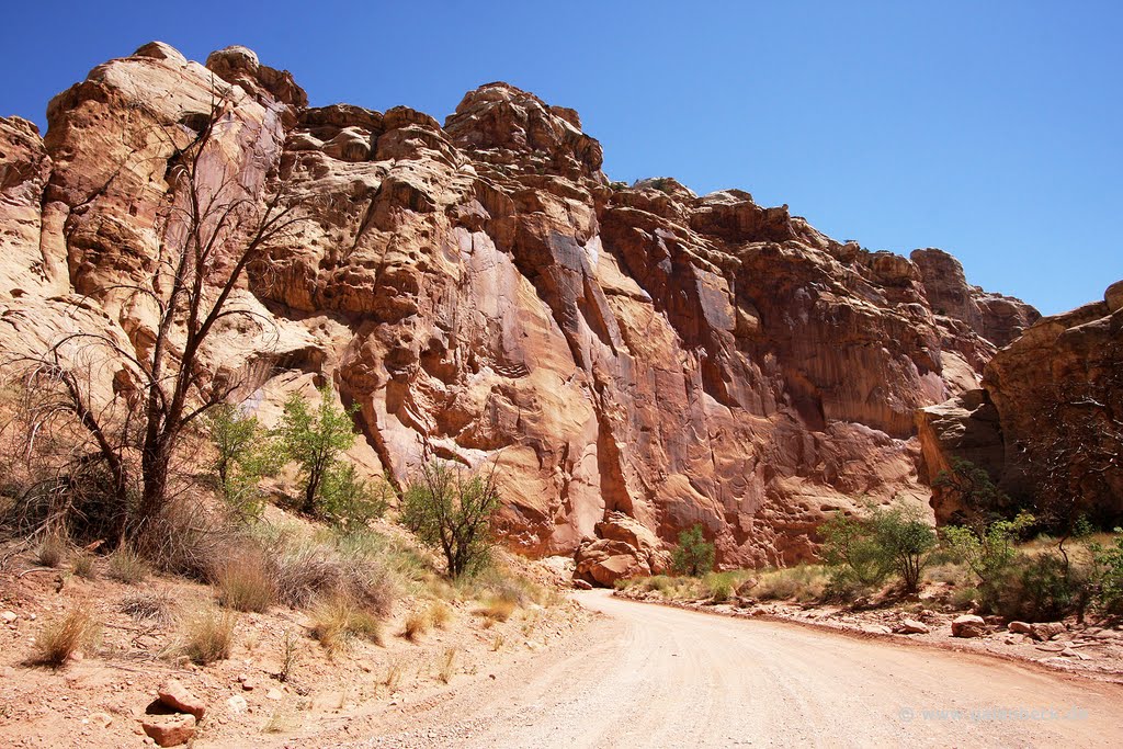 Capitol Gorge by Thomas Galenbeck