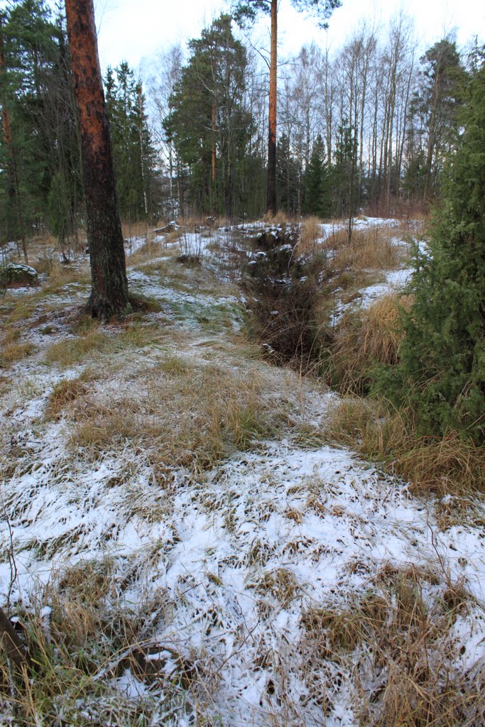 Ensimmäisen maailmansodan aikainen puolustusasema by Jorma Hokkanen