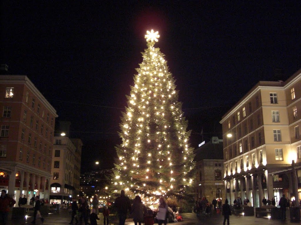 The christmastree in the evening 13. december 2008 by Mona Lygre