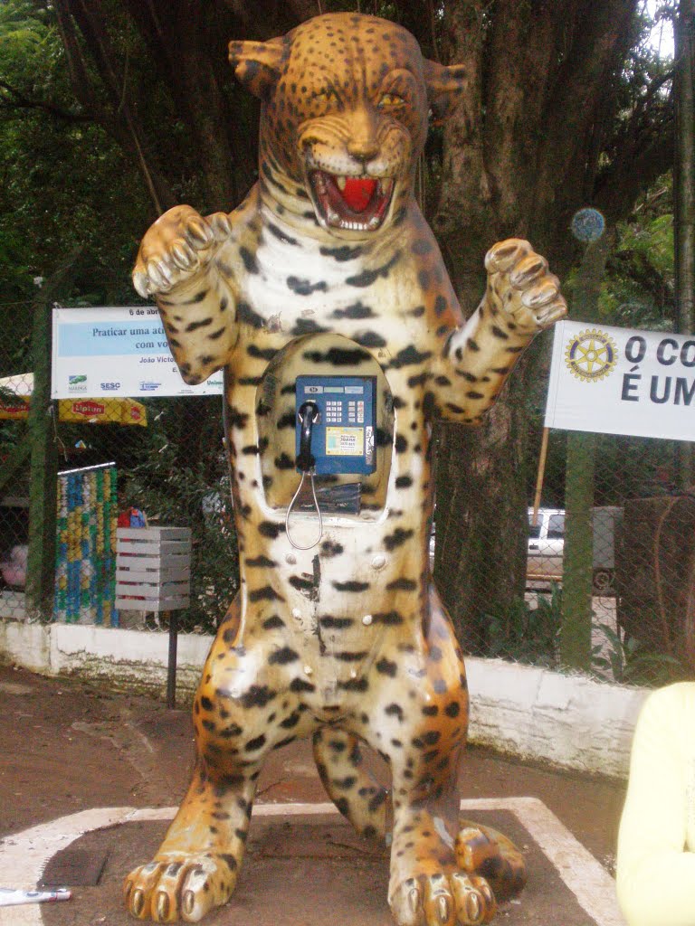 Onça-Telefone Publico do Parque do Ingá by Heber Leandro