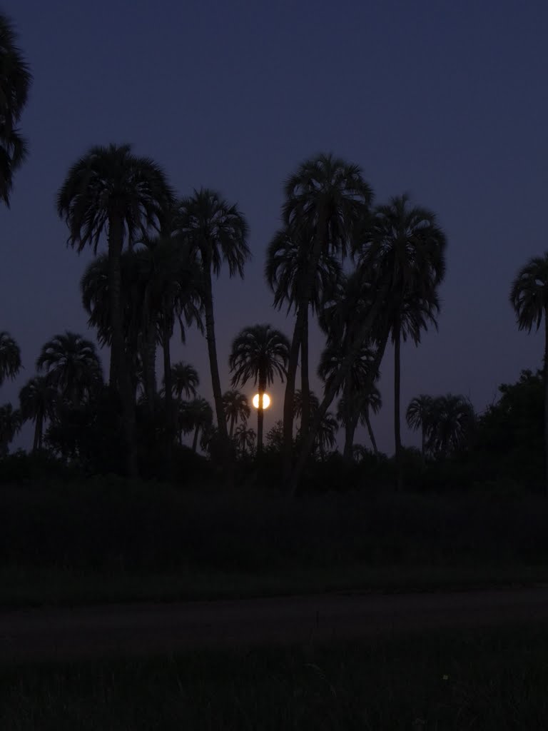 El Palmar... de noche/g_tapiero by Gonzalo F. Tapiero G…