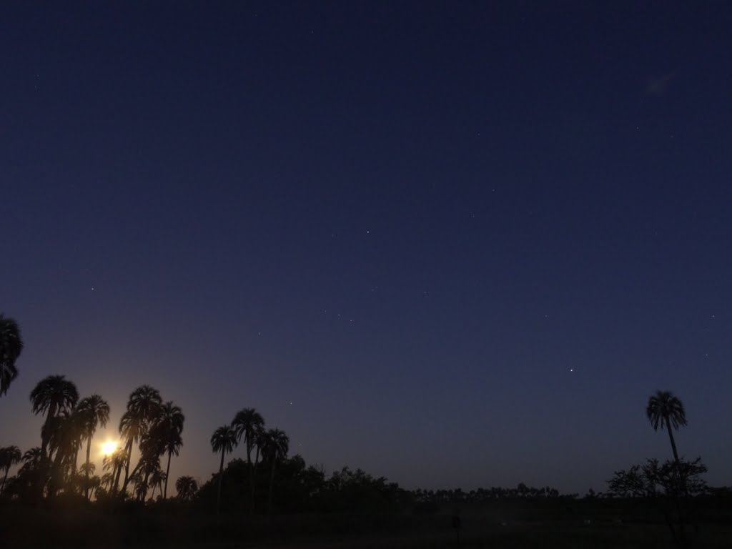 Luna, cielo, estrellas y palmares.../g_tapiero by Gonzalo F. Tapiero G…