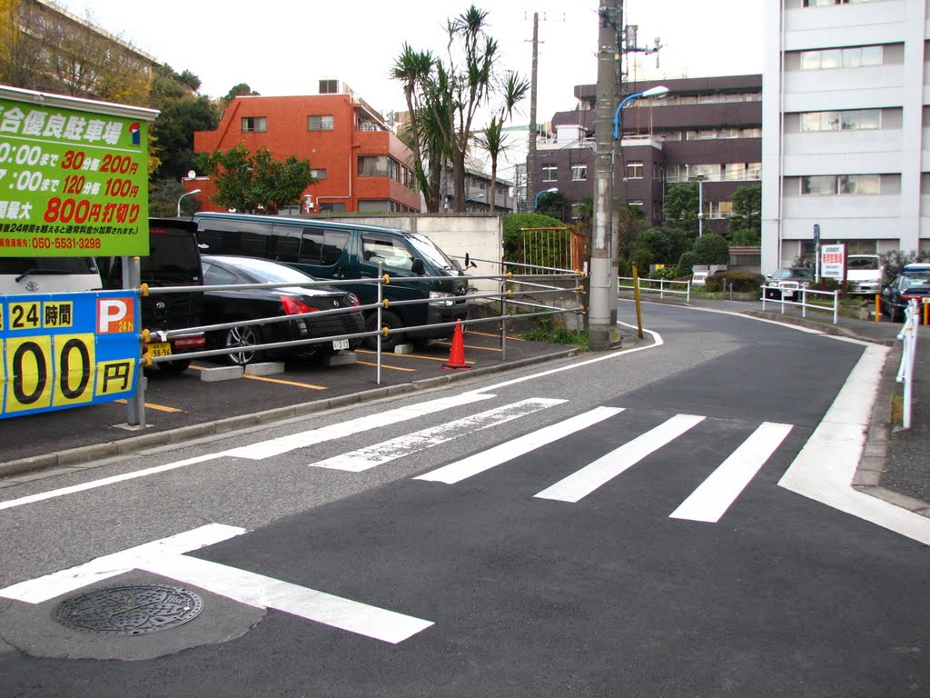 新目白通りの脇道　Alley of Shin-Mejiro-dori Street by Grahabudayaindonesia