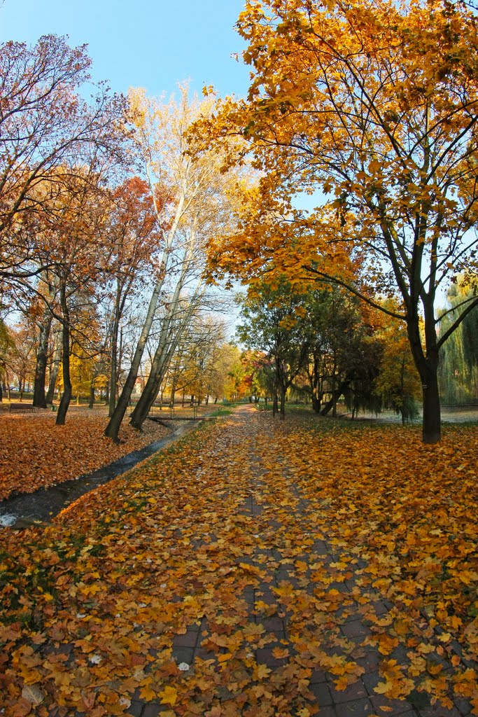 GŁOGÓW Park Budowlanych by lukaseti