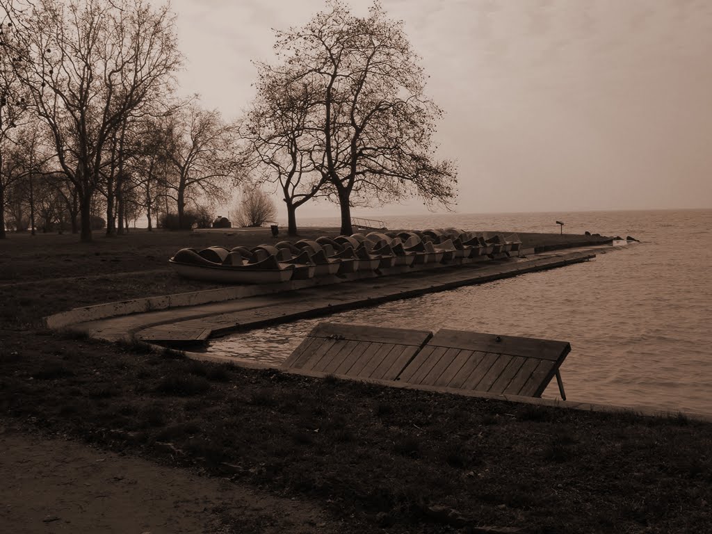 Balatonkenese by mjetlaz