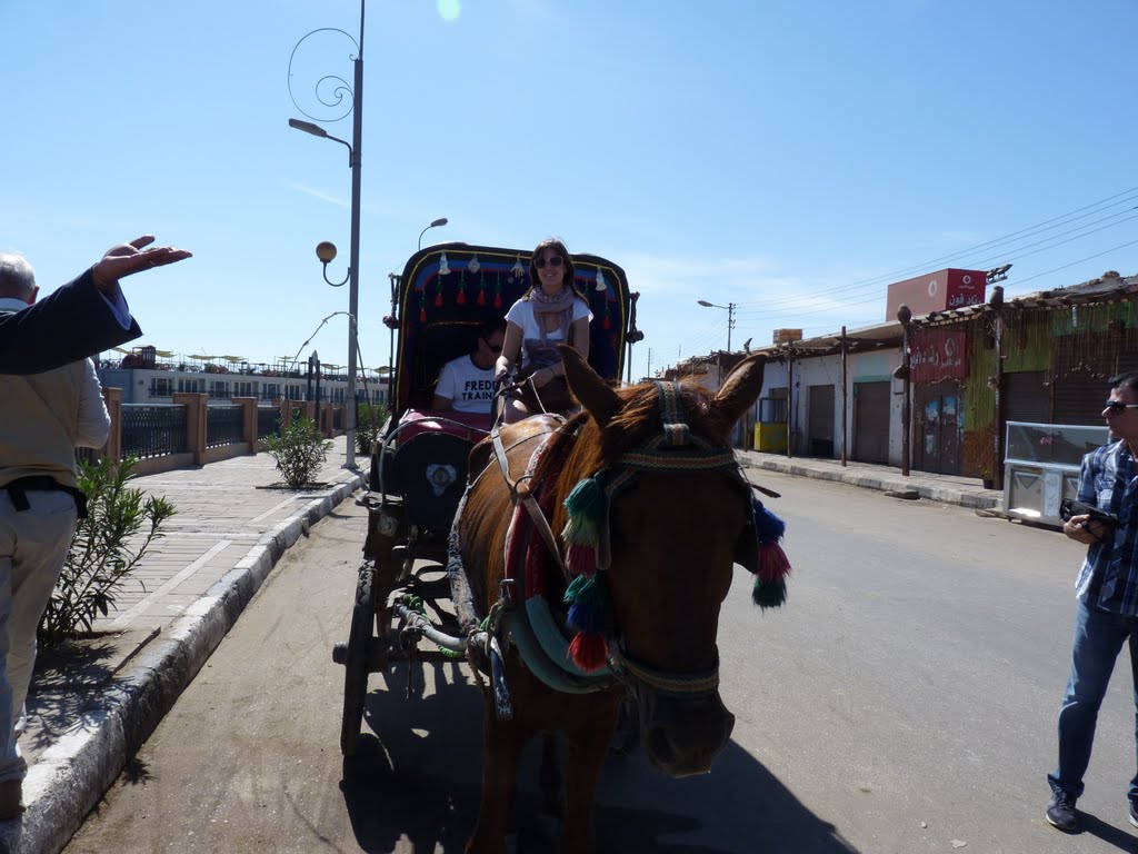 Edfu- taxi by erald82