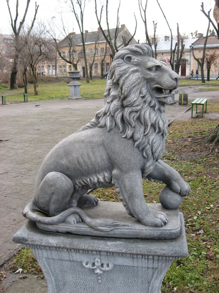 Lviv, lion / Лев by Anhorda