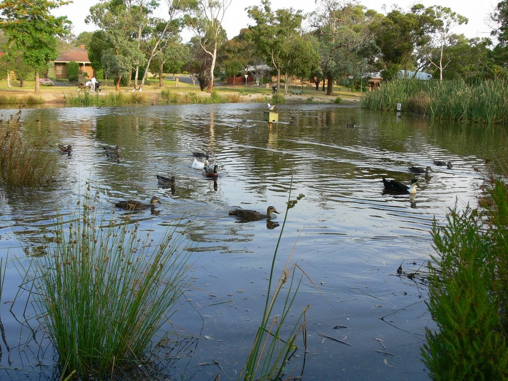 Shaxton Circle , Lakewood , Frankston by Craig Ward