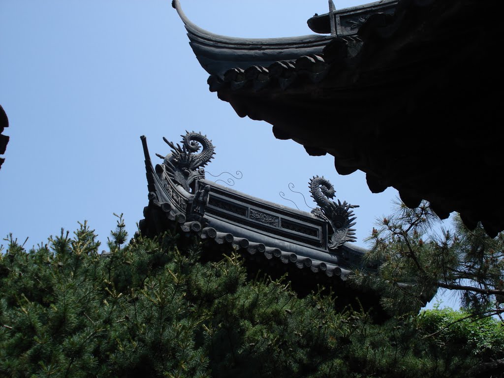 Shanghai. Garden of Contentment (Yuyuan Garden) by ValentinaSmirnova