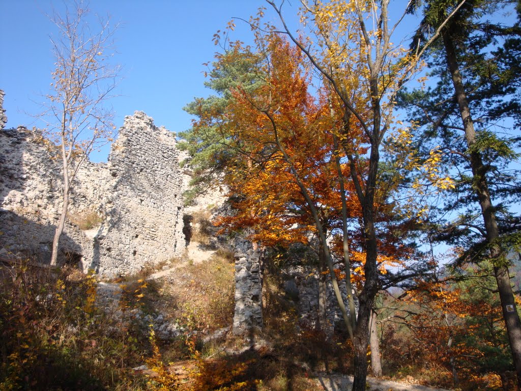 Blatnický hrad by Zdenulik J