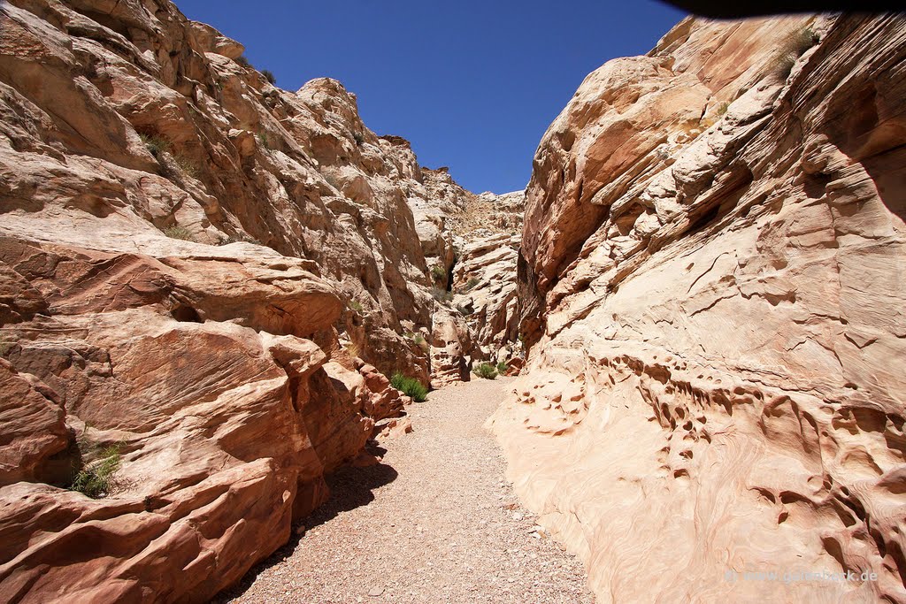 Little Wild Horse Canyon by Thomas Galenbeck