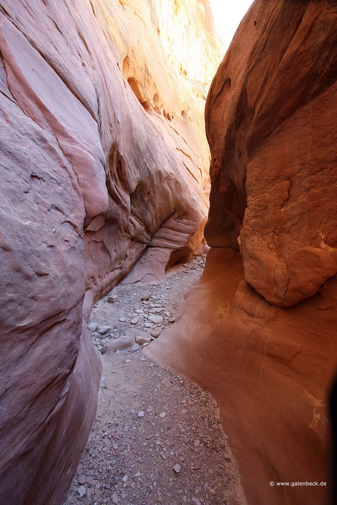 Little Wild Horse Canyon by Thomas Galenbeck