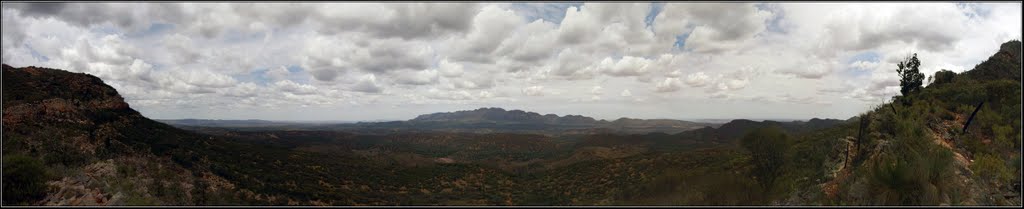 Panorama looking out from Bridle Gap, Wilpena Pound. by Peter Neaum