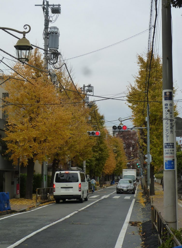 日本赤十字医療センター近くのイチョウ並木 (Ginkgo trees near Japanese Red Cross Medical Center, Shibuya Ward, Tokyo, Japan) by scarbo