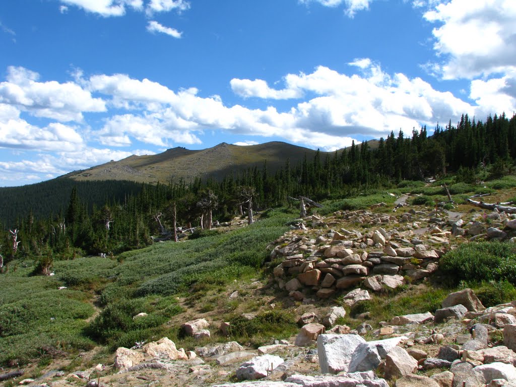 View From Mount Evans Road by Jayviar