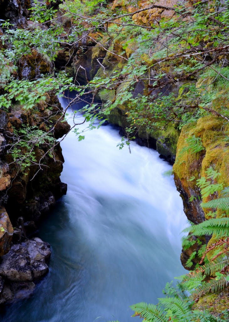 Rogue River Bend by ptlpride