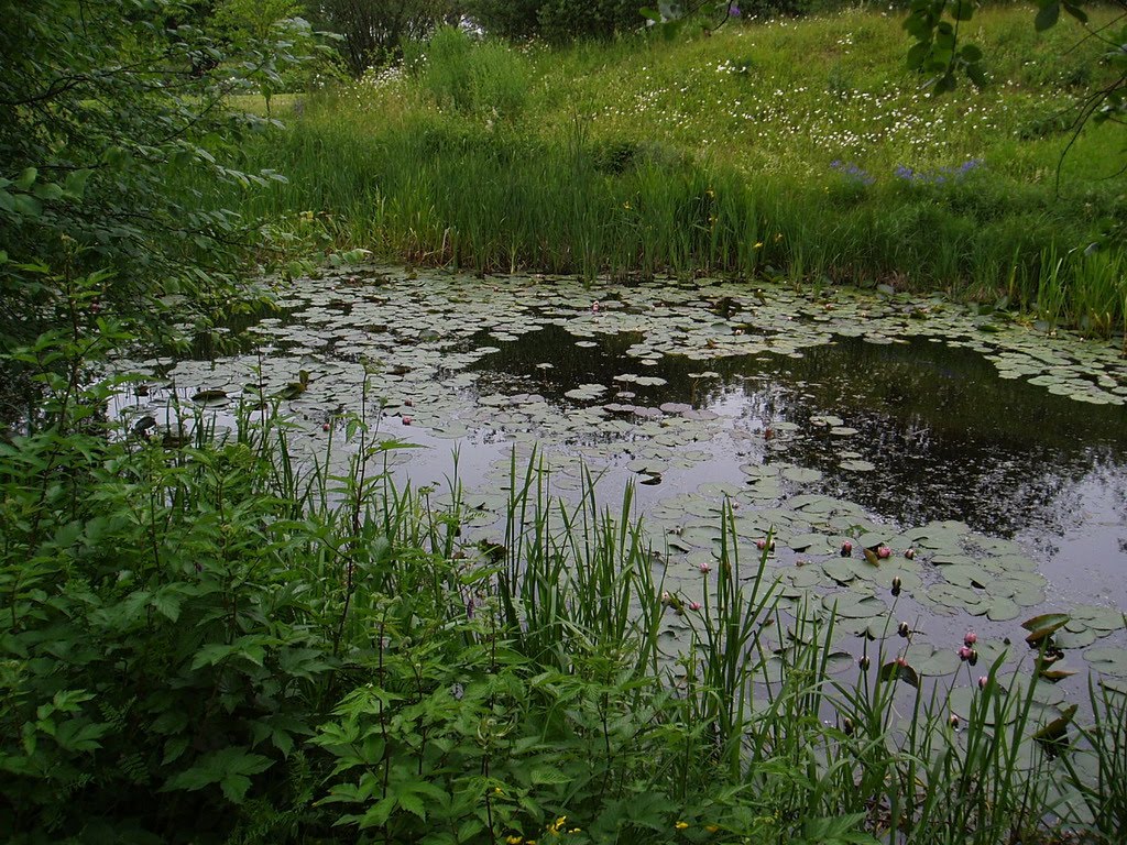 Botaniska trädgården i Lund by Björn Björkholm