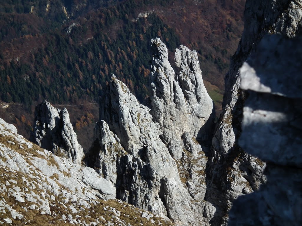 Le quattro Matte viste dal sentiero che porta al monte Visolo by Willyco