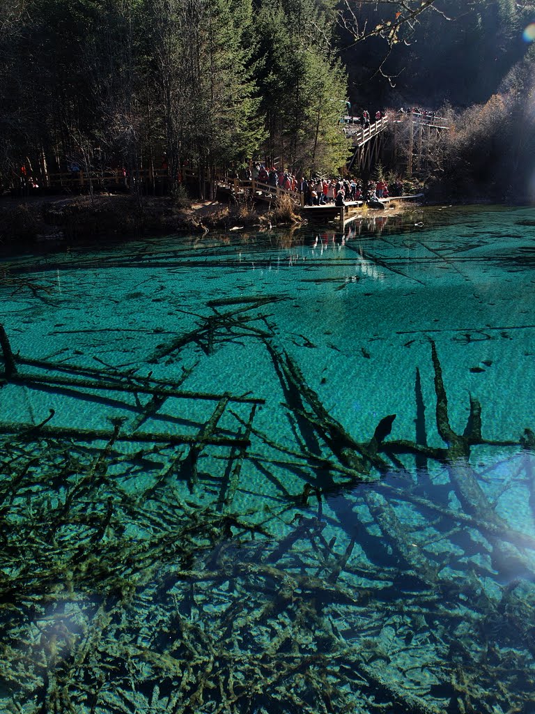 Jiuzhaigou - 九寨溝五花海 by KaySin