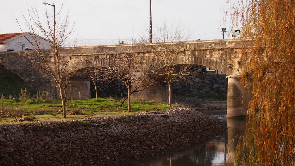 Ponte na Várzea by lestro