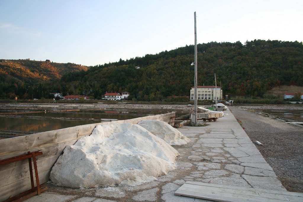 Strunjan salt pans - hand made salt by pskusek