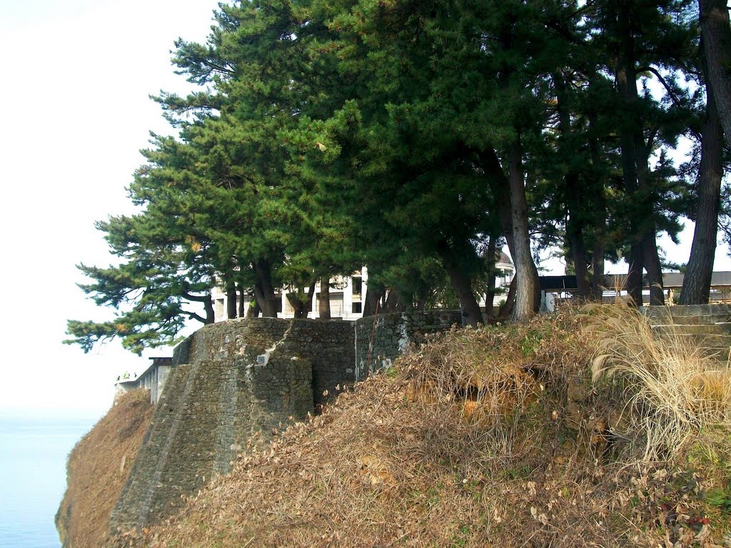 Trees at Tsikhisdziri seaside by Pogromca Gašnič