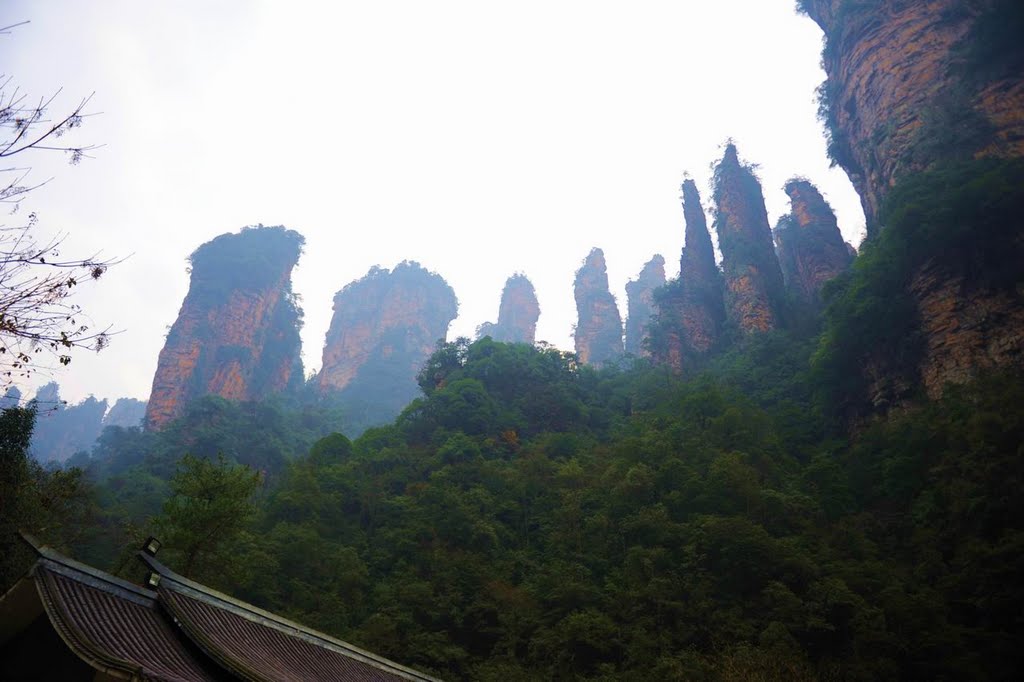 Wulingyuan, Zhangjiajie, Hunan, China by Shi baohua史保华