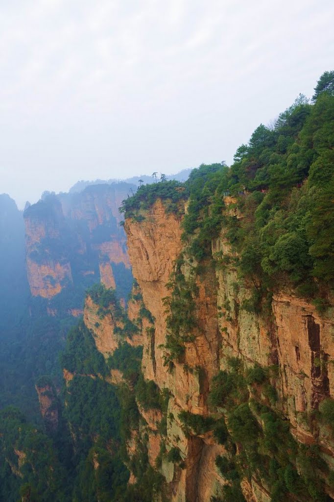 Wulingyuan, Zhangjiajie, Hunan, China by Shi baohua史保华