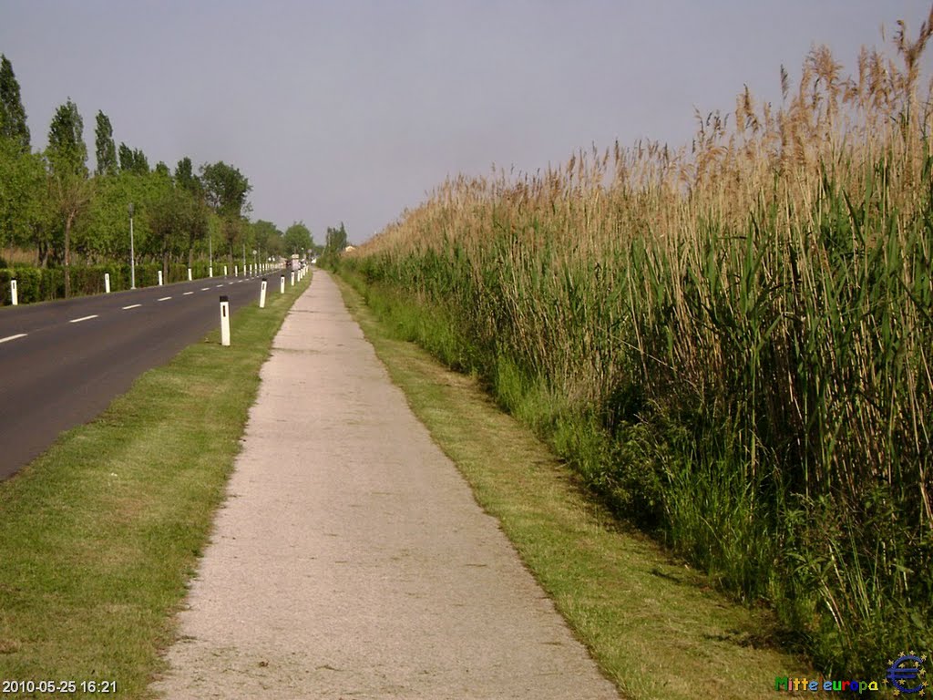 Mörbisch am See - Seestraße (25.Mai,2010) by € Mitteleuropäer €