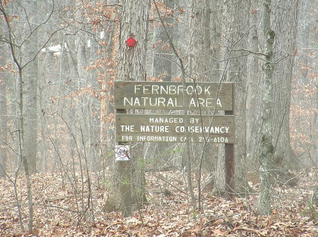 Fernbrook Natural Area by Tim Koppenhaver