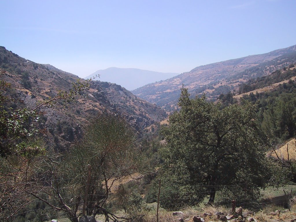 El Poqueira y Sierra Lujar al fondo by isapama