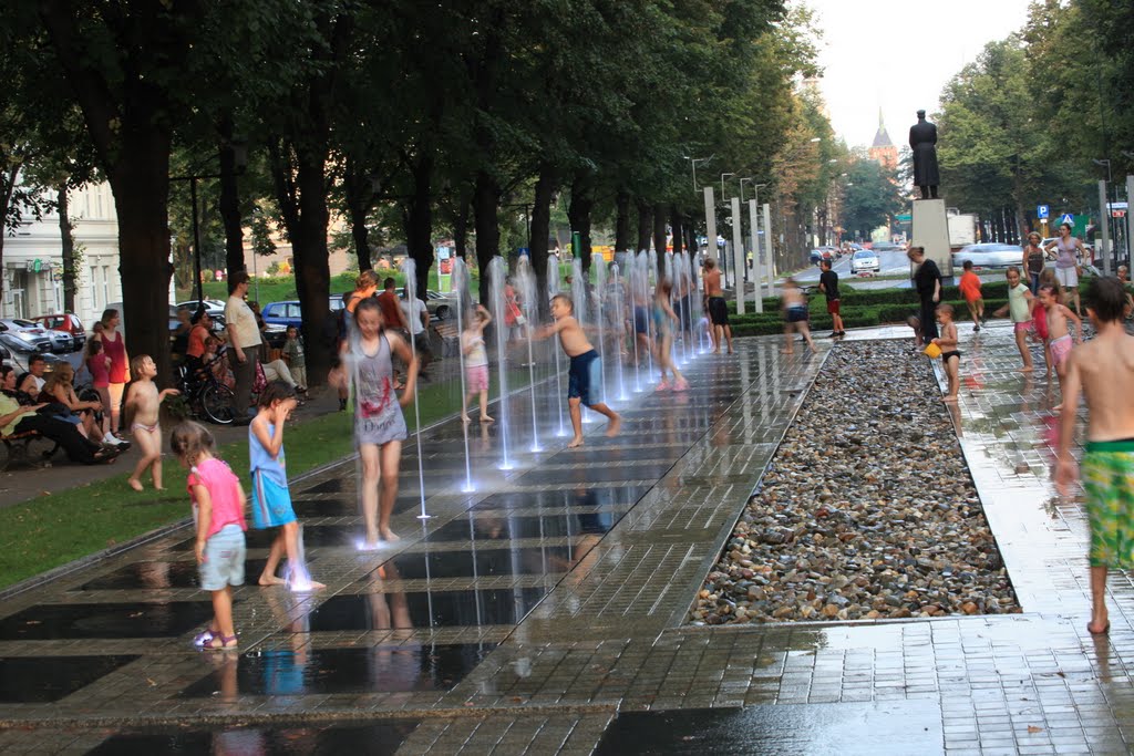 Plac Piłsudskiego - Marszałek i fontanny by Roton Piotr