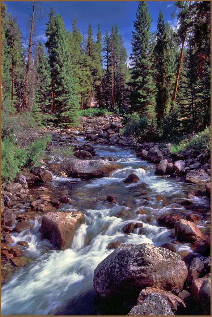 Pebble Creek by Brenton Cooper