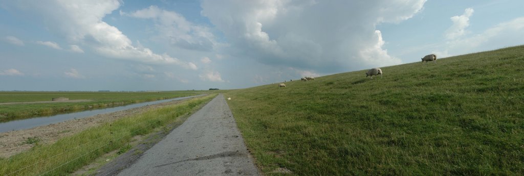 Dijk met schapen by Hans Boven