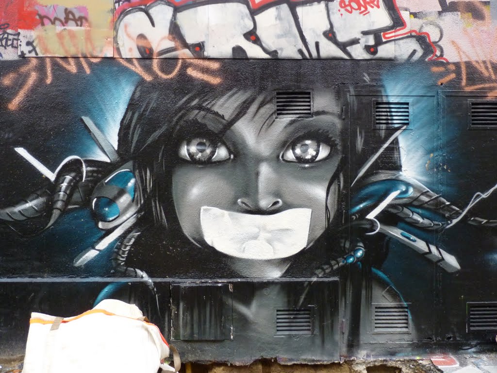 Paris - Graff Rue des Maraîchers (2011) by greg-007