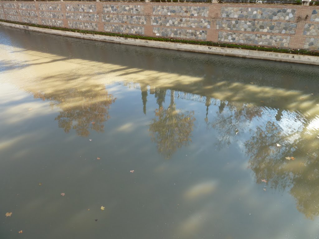 Reflejos sobre el rio Genil by Chacon Malaga