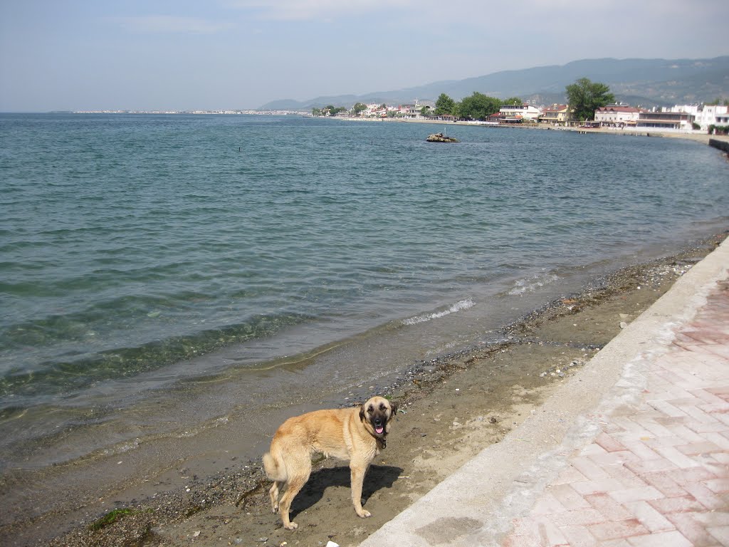 Akçay-Balıkesir / Turkey (2010) by Abucam