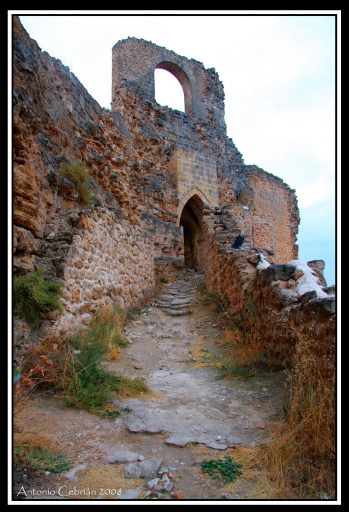 Entrada Principal al castillo by AntonioCebrian