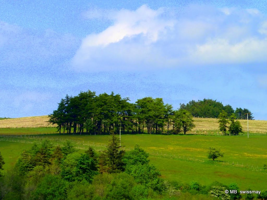 Mb - near Usk Reservoir by ♫ Swissmay 2