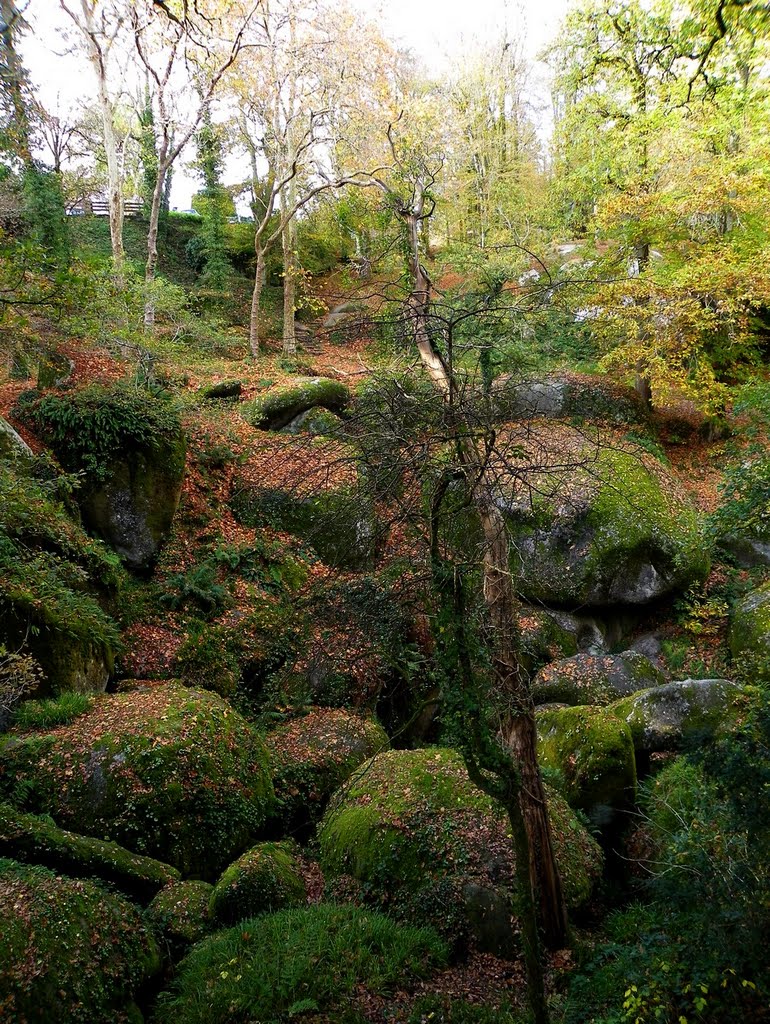 Huelgoat - Site des rochers - Communion des rochers et de la végétation by epaulard59