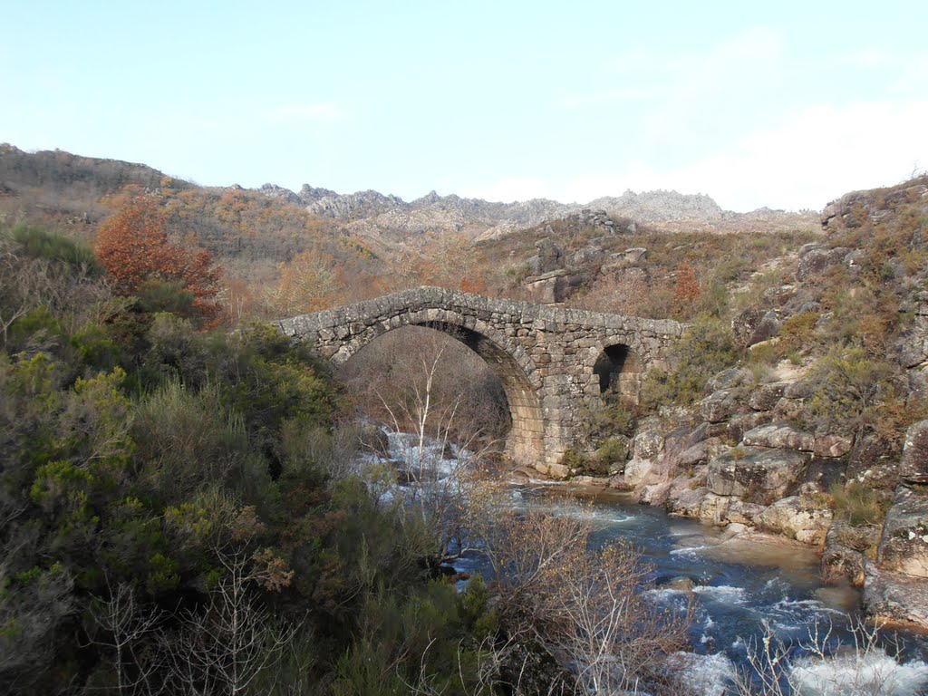 Ponte da Cava da Velha by Elcorty